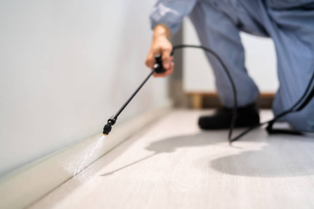Licensed Mosquito Control service in White River Junction, VT - Show Me Pest Control