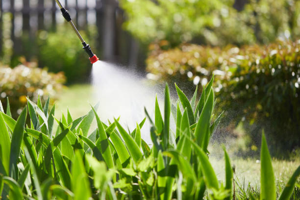 24/7 Emergency Mosquito Control experts in White River Junction, VT