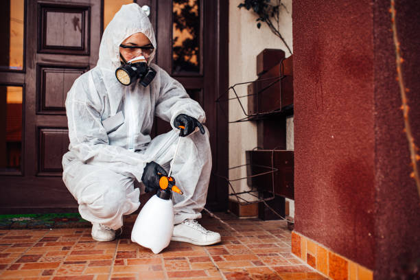 Reliable Mosquito Control contractor in White River Junction, VT by Show Me Pest Control