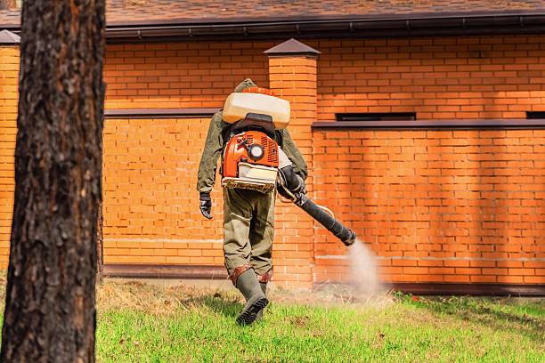 Top rated local Mosquito Control specialists in White River Junction, VT